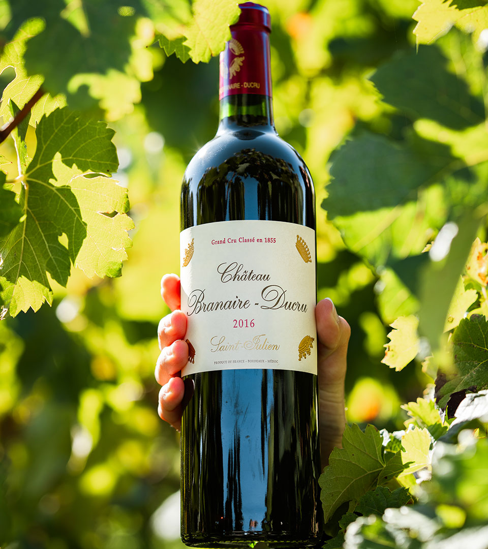 La Signature Château Branaire-Ducru